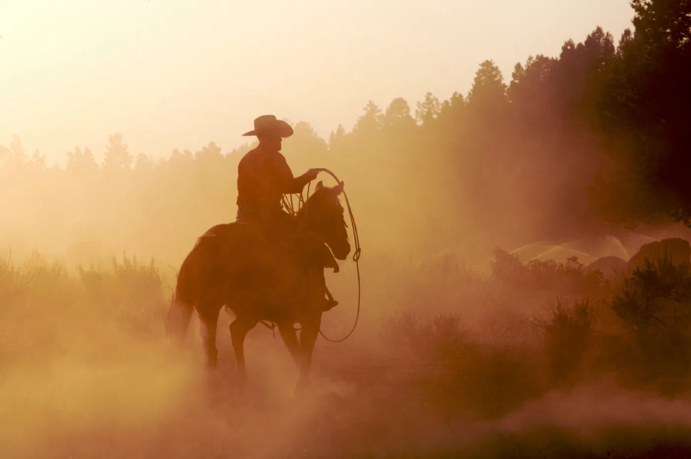 On Covenants, Conscience, and Cowboys: A Reflection on WISPA