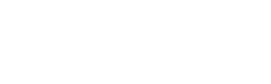 Parallel Entrepreneur
